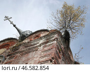 Стена и покосившийся купол заброшенной церкви. Стоковое фото, фотограф Владимир Смирнов / ТАСС / Фотобанк Лори