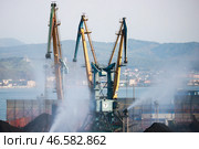 Приморский край. Находка. Портальные краны на территории угольного терминала морского торгового порта (2022 год). Стоковое фото, фотограф Юрий Смитюк / ТАСС / Фотобанк Лори