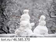Два снеговика. Стоковое фото, фотограф Валерий Шарифулин / ТАСС / Фотобанк Лори