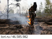 Горящие деревья в лесу. Стоковое фото, фотограф Александр Рюмин / ТАСС / Фотобанк Лори