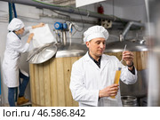 Focused brewer measuring beer gravity with hydrometer in brewery. Стоковое фото, фотограф Яков Филимонов / Фотобанк Лори