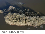 Моторная лодка, проплывающая у подтопленных деревьев. Стоковое фото, фотограф Владимир Смирнов / ТАСС / Фотобанк Лори