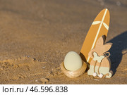 Игрушечный кролик, доска для серфинга и разукрашенное пасхальное яйцо на морском пляже. Стоковое фото, фотограф Pixel_shot / Фотобанк Лори