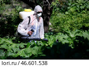 Опрыскивание борщевика ядохимикатами. Стоковое фото, фотограф Михаил Почуев / ТАСС / Фотобанк Лори