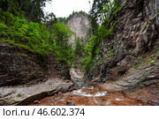 Ручей, вытекающий из водопада. Стоковое фото, фотограф Юрий Смитюк / ТАСС / Фотобанк Лори