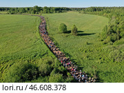 Кировская область. Паломники во время Великорецкого крестного хода (2021 год). Стоковое фото, фотограф Дмитрий Феоктистов / ТАСС / Фотобанк Лори