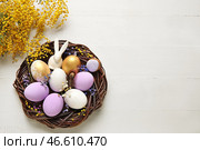 Гнездышко с расписными пасхальными яйцами, кроликом и цветами на светлом деревянном фоне. Стоковое фото, фотограф Pixel_shot / Фотобанк Лори