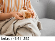 Красивая молодая женщина с милой морской свинкой дома, крупным планом. Стоковое фото, фотограф Pixel_shot / Фотобанк Лори