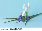 Бутылки натурального косметического продукта с экстрактом трав на синем фоне. Стоковое фото, фотограф Pixel_shot / Фотобанк Лори