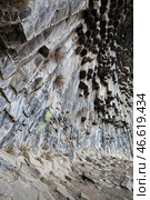 Basalt columns in Garni Gorge, Armenia. Стоковое фото, фотограф Юлия Белоусова / Фотобанк Лори