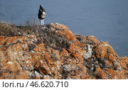Кемеровская область. Турист на Яшкинских скалах. Стоковое фото, фотограф Максим Киселев / ТАСС / Фотобанк Лори