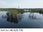 Волгоградская область. Подтопленные деревья в реке Волге. Стоковое фото, фотограф Дмитрий Рогулин / ТАСС / Фотобанк Лори