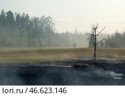 Выжженное поле на фоне пожарного. Стоковое фото, фотограф Евгений Софронеев / ТАСС / Фотобанк Лори