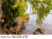 Landscape of the lake of lake with a branch overhanging above the water. Стоковое фото, фотограф Владимир Ушаров / Фотобанк Лори