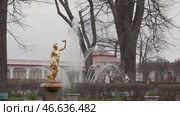 St. Petersburg Russia - May, 09, 2013: Architectural masterpieces of Peterhof: fountains and golden Statues. Guided tour of the Palace and Park ensemble. Редакционное видео, видеограф Андрей Жигальцов / Фотобанк Лори