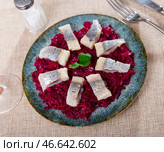 Nicely served sliced salted herring with beet salad on side. Стоковое фото, фотограф Яков Филимонов / Фотобанк Лори