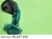 Необычный парик на цветном фоне. Стоковое фото, фотограф Pixel_shot / Фотобанк Лори