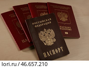 Внутренний и заграничные паспорта граждан Российской Федерации. Стоковое фото, фотограф Юлия Зырянова / ТАСС / Фотобанк Лори