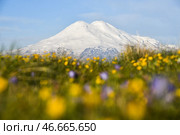 Республика Кабардино-Балкария. Вид на Эльбрус с плато Канжол. Стоковое фото, фотограф Александр Манзюк / ТАСС / Фотобанк Лори