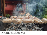 Кусочки мяса на шампурах и угли в мангале. Стоковое фото, фотограф Сергей Булкин/NEWS.ru / ТАСС / Фотобанк Лори