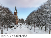Kaliningrad, Kaliningrad Region Russia, February 16, 2025 Cathedral on the island of Kant in winter. Редакционное фото, фотограф Наталья Симакова / Фотобанк Лори