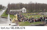 St. Petersburg Russia - May, 09, 2013: Architectural masterpieces of Peterhof: fountains and golden Statues. Guided tour of the Palace and Park ensemble. Редакционное видео, видеограф Андрей Жигальцов / Фотобанк Лори
