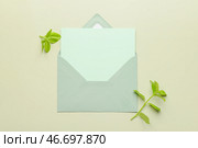 Конверт с пустой открыткой и ветками растений на цветном фоне. Стоковое фото, фотограф Pixel_shot / Фотобанк Лори