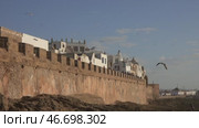 Seagulls over Essaouira in Morocco at sunset (2018 год). Стоковое видео, видеограф Михаил Коханчиков / Фотобанк Лори
