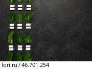 Свежая жевательная резинка с мятой на черном фоне. Стоковое фото, фотограф Pixel_shot / Фотобанк Лори
