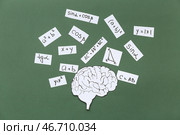 Бумажные мозги с различными математическими формулами и уравнениями на классной доске. Стоковое фото, фотограф Pixel_shot / Фотобанк Лори