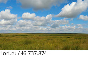 Green field summer landscape, timelapse. Стоковое фото, фотограф David Kashakhi / Фотобанк Лори