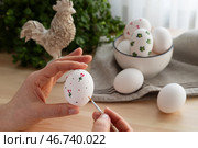 Раскрашивание пасхальных куриных яиц, подготовка к празднованию Светлой Пасхи. Стоковое фото, фотограф Оксана Шведкова / Фотобанк Лори