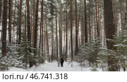 Девушки гуляют в зимнем снежном лесу. Деревья и кустарники в снегу. Небольшой снегопад в бору. Стоковое видео, видеограф Анастасия / Фотобанк Лори