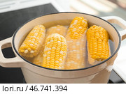 Кастрюля с кипящими початками кукурузы на электрической плите на кухне. Стоковое фото, фотограф Pixel_shot / Фотобанк Лори
