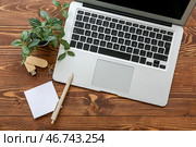 Ноутбук с USB-флеш-накопителем и канцелярскими принадлежностями на коричневом деревянном фоне. Стоковое фото, фотограф Pixel_shot / Фотобанк Лори
