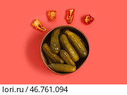 Миска с вкусными квашенными огурцами и сушеным перцем на красном фоне. Стоковое фото, фотограф Pixel_shot / Фотобанк Лори