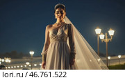 A graceful woman in an elegant, flowing gown stands against a night sky illuminated by glowing streetlights. Her serene expression and regal accessories create a timeless, dreamy atmosphere. Стоковое AI-видео, аниматор Ирина Старикова / Фотобанк Лори