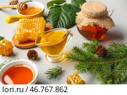 Банка с вкусным медом, медовым сотом и ветками пихты на белом фоне, крупным планом. Стоковое фото, фотограф Pixel_shot / Фотобанк Лори