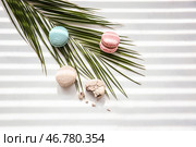 Вкусные макаруны и пальмовый лист на светлом фоне. Стоковое фото, фотограф Pixel_shot / Фотобанк Лори