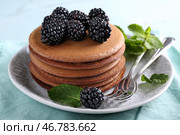 Тарелка с вкусными шоколадными блинами и ежевикой на светлом столе. Стоковое фото, фотограф Pixel_shot / Фотобанк Лори