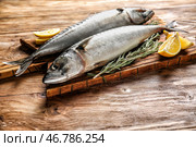 Доска с вкусной сырой скумбрии на деревянном столе. Стоковое фото, фотограф Pixel_shot / Фотобанк Лори
