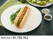 Тарелка с вкусным хот-догом на цветном столе. Стоковое фото, фотограф Pixel_shot / Фотобанк Лори