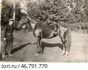 Ферма колхоз "Труженик", вороная кобыла Львица, 1932 год. Стоковое фото, фотограф Retro / Фотобанк Лори