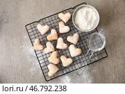 Охладитель с вкусным печеньем и сахарной пудрой на сером столе. Стоковое фото, фотограф Pixel_shot / Фотобанк Лори