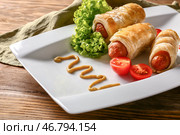 Вкусные колбасные рулетики с соусом и овощами на тарелке. Стоковое фото, фотограф Pixel_shot / Фотобанк Лори