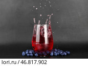 Стакан вкусного черничного сидра с брызгами, кубиком льда и ягодами на темном фоне. Стоковое фото, фотограф Pixel_shot / Фотобанк Лори