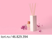 Флористический диффузор и цветы гипсофилы на розовом фоне. Стоковое фото, фотограф Pixel_shot / Фотобанк Лори