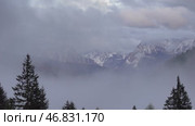 Mountain alps landscape with trees in fog clouds. Стоковое видео, видеограф Михаил Коханчиков / Фотобанк Лори