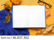 Сочинение с открытой книгой, теплыми носками и осенним декором на желтом фоне. Стоковое фото, фотограф Pixel_shot / Фотобанк Лори