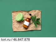 Массажер для кожи головы с бутылкой шампуня и листьями на зеленом фоне. Стоковое фото, фотограф Pixel_shot / Фотобанк Лори